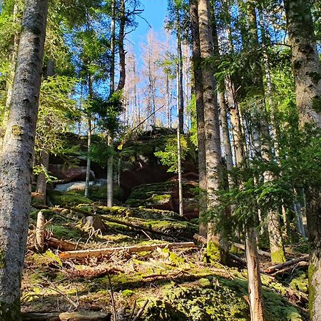 La Gambas Des Bois Villa Saint-Quirin Exteriör bild